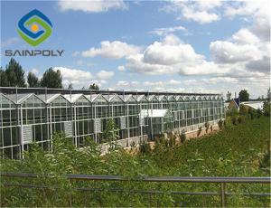 China Span 9m Commercial Glass Greenhouse Hot Digged Galvanized Steel wholesale