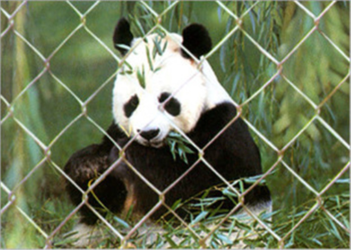 X Tend Expanded Stainless Steel Zoo Mesh , SS 304 Zoo Enclosure Materials