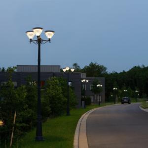 China IP65 Outdoor Solar LED Landscape Pathway Light Solar Garden Lights 3 head lamps wholesale
