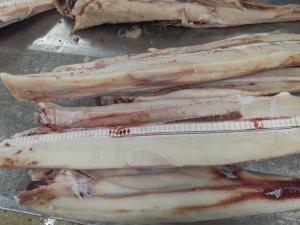 China 10kg Frozen Marlin wholesale