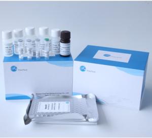 China PLGF Placental Growth Factor Elisa Test Kit wholesale