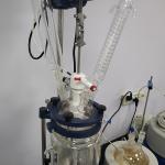 Benchtop Reaction Kettle 5L Lab Glass Reactor