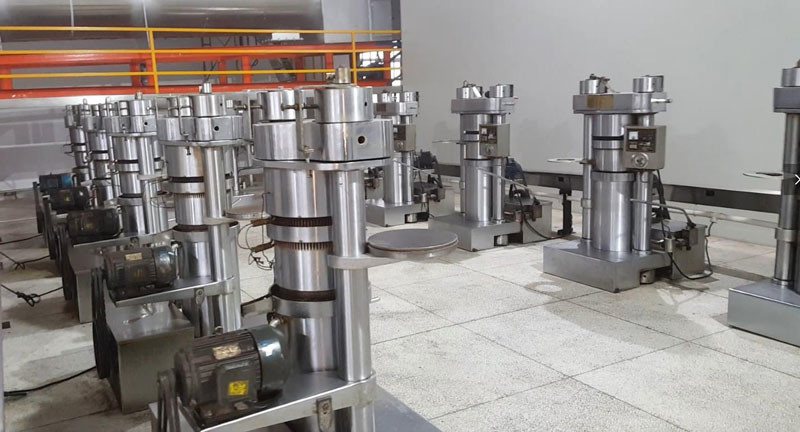 1-2 T/H Palm Oil Processing Plant Oil Making Machine