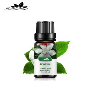 China 10ml Pure Gardenia Essential Oil Diffuser Steam Distillation For Candles wholesale
