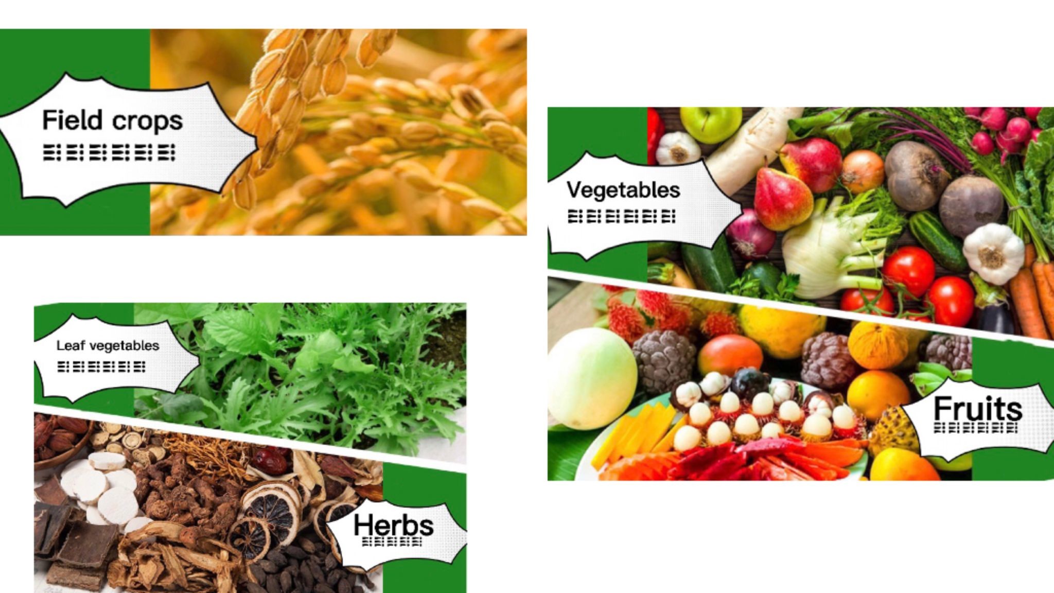 Highly Concentrated Water Soluble Liquid Fertilizer NPK With Comprehensive Nutrition