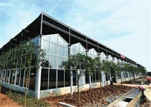 China Large Size Agricultural Glass Greenhouse 3m - 6m Side Height Stable Structure wholesale