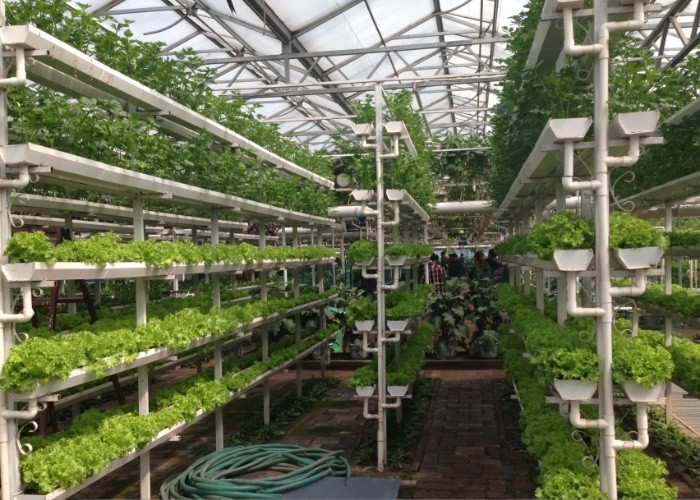 Farming Venlo Aluminum Frame Glass Greenhouse For Agriculture Growing