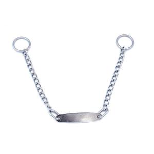 China Pets Choke Training Collar Metal Dog Chain With Name Tag wholesale