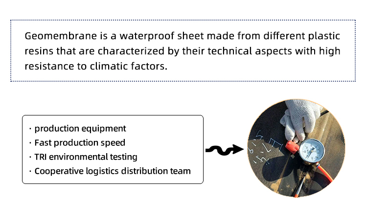Chinese Geomembrane Impermeable Fish Pond Shrimp Pond Cistern Waterproof Membrane