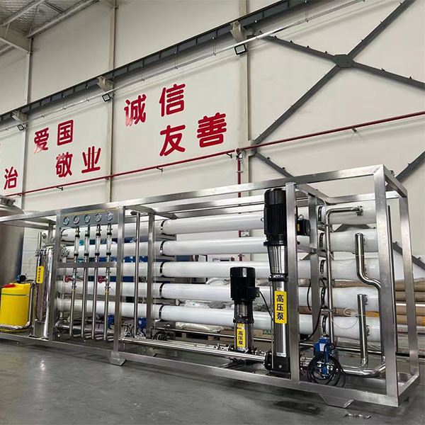 Efficient 8t/H Dual Stage Reverse Osmosis Water Purification Equipment For Industrial