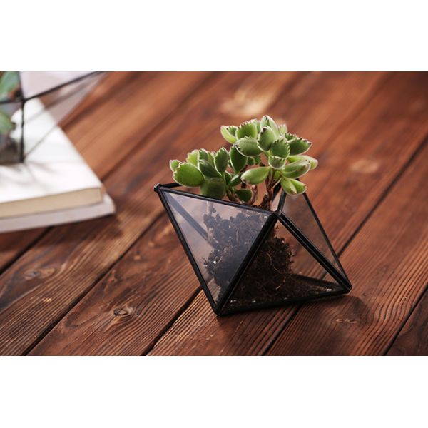 Mini Metal Tabletop Geometric Air Plant Holder , Himmeli Decor Glass Air Plant Holder