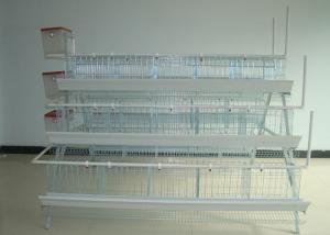 China Battery Chicken Farm Poultry Equipment With Auto Chicken Feeding System wholesale