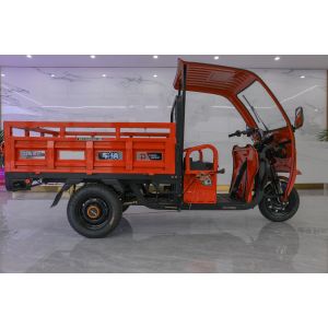 China 50KM/H 2 Seater Electric Passenger Tricycle For Adults wholesale