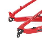 29er Carbon Fiber MTB Frame