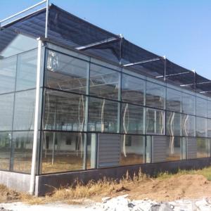 China High Yield Vegetable Glass Seedling Greenhouse For Tomato / Cucumber wholesale