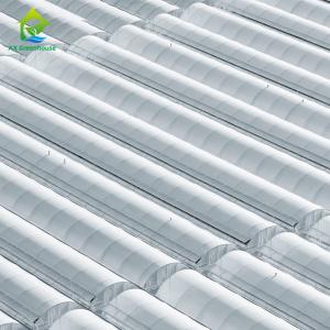 China 1m-12m Width Greenhouse Plastic Film wholesale
