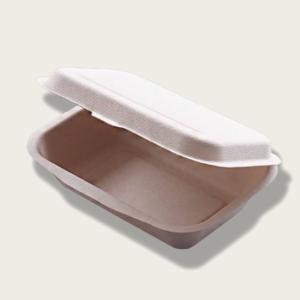 China 450ml Pulp Lunch Box Eco Friendly Takeaway Containers Water Resistance wholesale