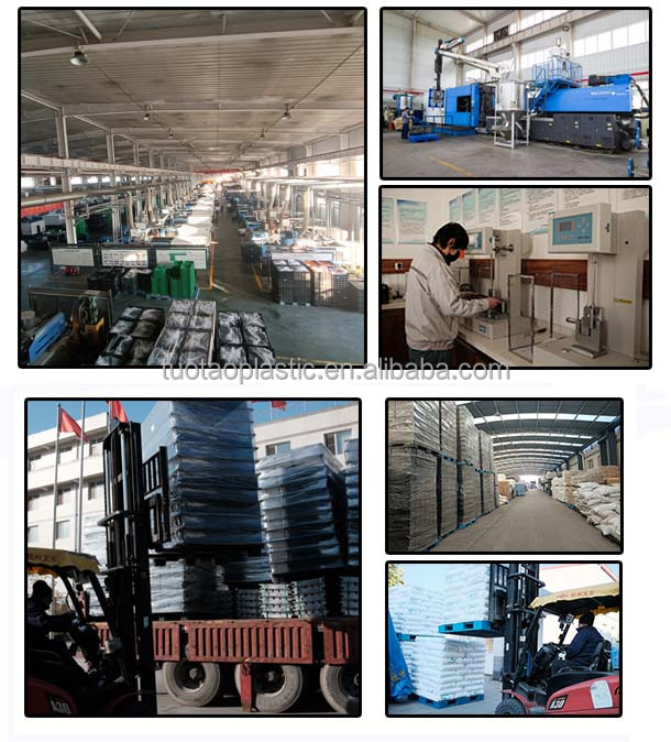 Stackable Collapsible Plastic Crates The Ultimate Solution for Fruit Vegetable Moving