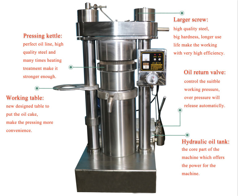 Canola Hydraulic Oil Press Machine 4kw Power 60 Mpa 1 Year Warranty