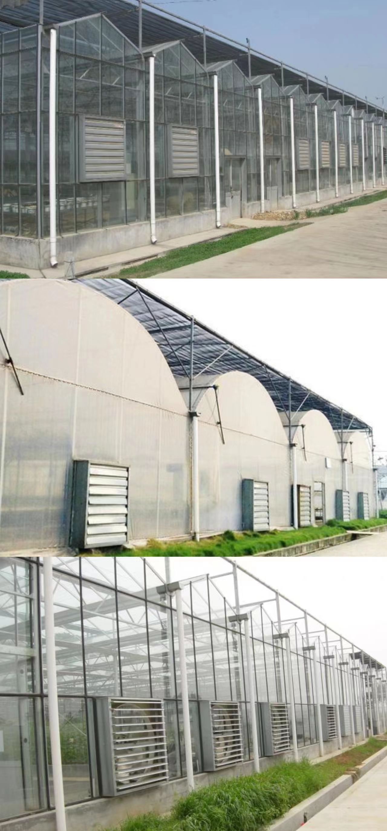 Hot Sale 36 Inch Greenhouse Temperature Control Exhaust Fan Heavy Hammer Fan for Poultry Farm Ventilation Cooling