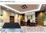 Bathroom Ceiling Speaker with CE, CCC, RoHS (Y-306)