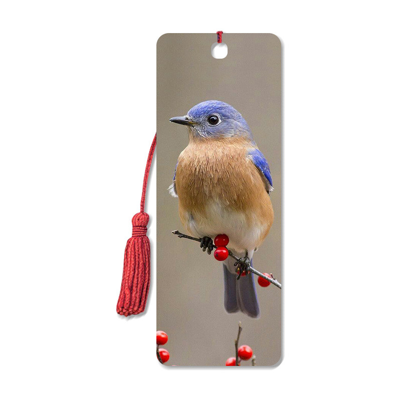Lenticular Animal Design 3D Bookmarks For Kids Plastic 0.6mm Eco Friendly PET Material