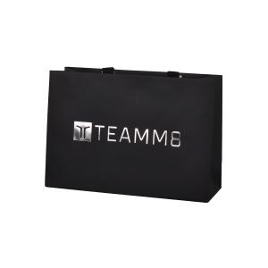 China 190gsm Custom Paper Bags With Handles 1 Inch Silver Hot Stamping Logo wholesale