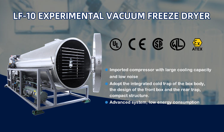 Commercial Scale Lyophilizers Industrial Automatic Feed SUS304 Freeze Dryer