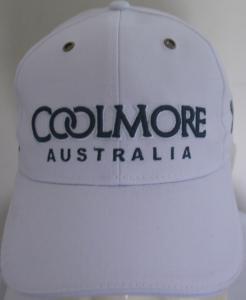 China 100% cotton fashion embroidery sport cap wholesale