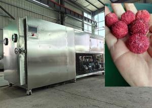 China PLC Controlled Vacuum Freeze Drying Machine 30-35kg/batch wholesale
