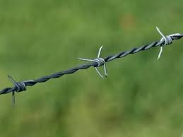 Anti-climbing Hot Dipped Galvanized Barbed Wire for Zimbabwe Farm Length Per Roll