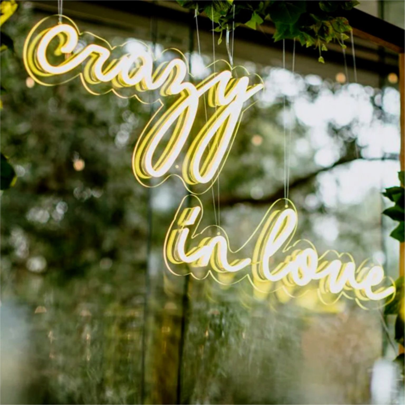 Custom 110-240V LED Acrylic Signage Decorative Outdoor LED Neon Signs