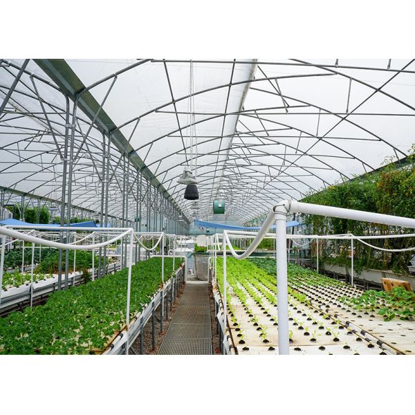 DWC deep water culture Hydroponics System Vertical Hydroponic For Agriculture