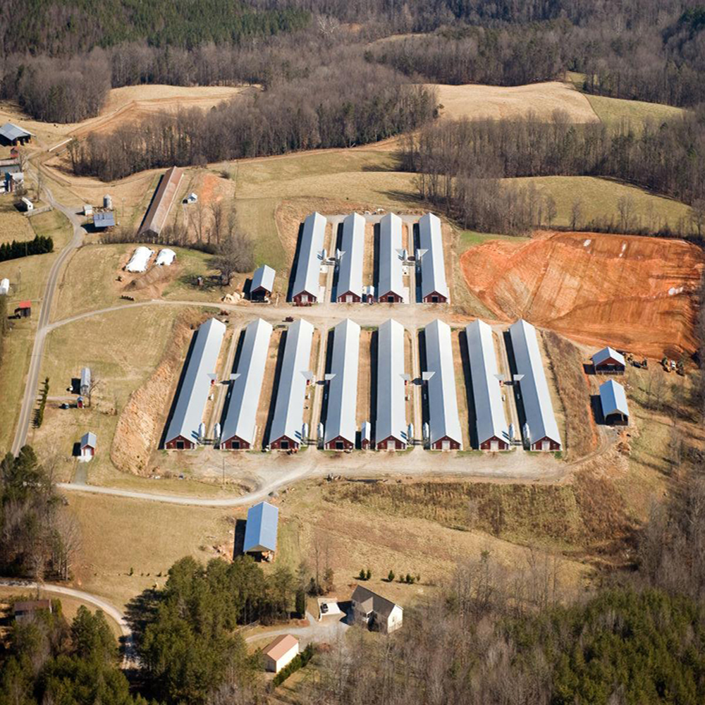 Modern H Beam Steel Structure Poultry House Long Span Steel Frame Farm Buildings
