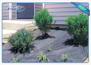 China Small Rolls Anti-UV Biodegradable Landscape Fabric , Landscape Ground Cover wholesale