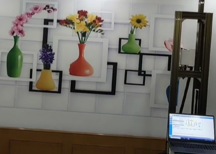 Usb 3.0 Vertical Wall Printer 3d Effect Printing 3 Axises Driving Ac 90-246v
