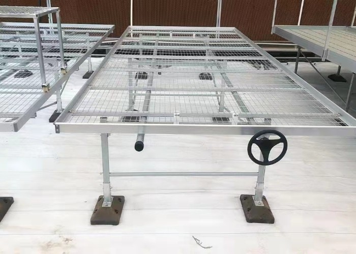 Diy Commercial Greenhouse Rolling Benches Galvanized Steel Mesh For Orchid Nursery Flowers Irrigation