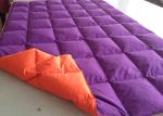 Reversible 260g/M2 230T Microfiber Quilted Quilt