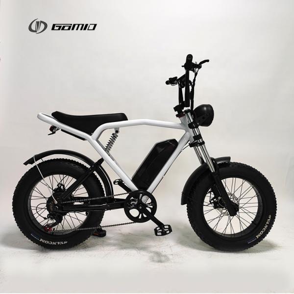 20*4.0 Inch Electric City Bike Fat Tire Ebike 500w 48v Mtb E-Bike Motorcycle Off