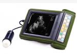 Portable Veterinary Ultrasound Scanner With 3.5MHz Waterproof Mechanical Sector