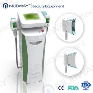 China cryolipolysis 2 handles touch screen cool shaping equipment / cryolipolyse machine wholesale