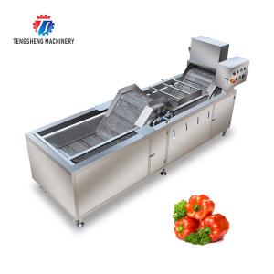 China Industrial Fruit And Vegetable Washing Machine Adjustable Temperature wholesale