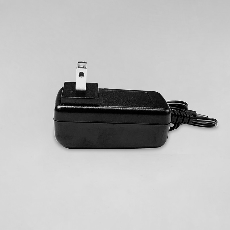 12V 1A AC Power Adapter For Single Color Neon / Beauty Equipment / Digital Photo Frame