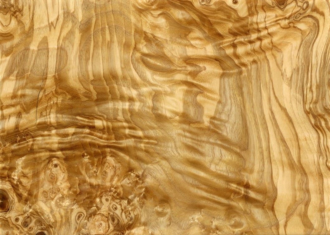 www.shunfang-veneer-com.ecer.com