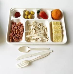 China White Disposable Divided Plates Rectangle , Waterproof Rectangle Divided Paper Plates wholesale