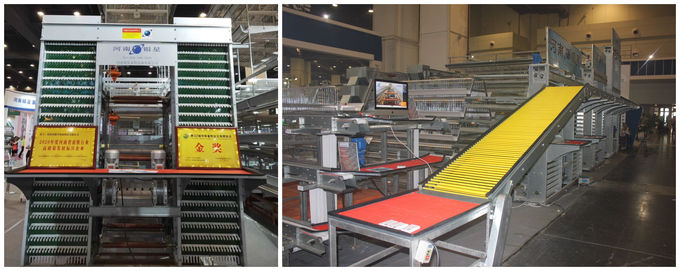 H Type Automatic Layer Cage System , 450cm2/Bird Q235 4 Tier Chicken Cage
