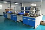Phenolic Resin Wood Chemistry Lab Workbench Multifunctional Waterproof