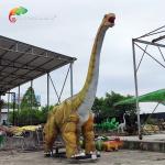 Weatherproof Life Size Animatronic Dinosaurs Brachiosaurus Animatronic 50/60hz