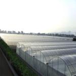 Climate Adjustable Plastic Film Greenhouse Heat Resisting Anti Freezing Moisture