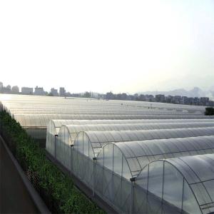 China Climate Adjustable Plastic Film Greenhouse Heat Resisting Anti Freezing Moisture Proof wholesale